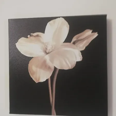 ゲストハウス De Rossi