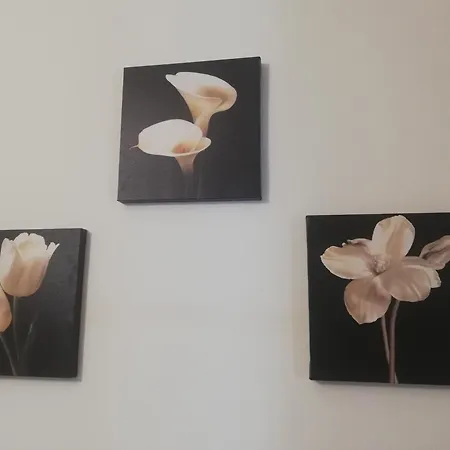 De Rossi Pensión Bari